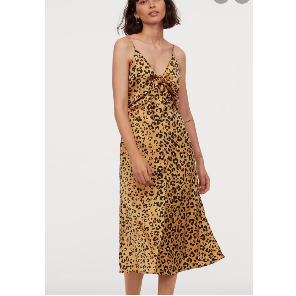H&M Satin Leopard print dress with ties